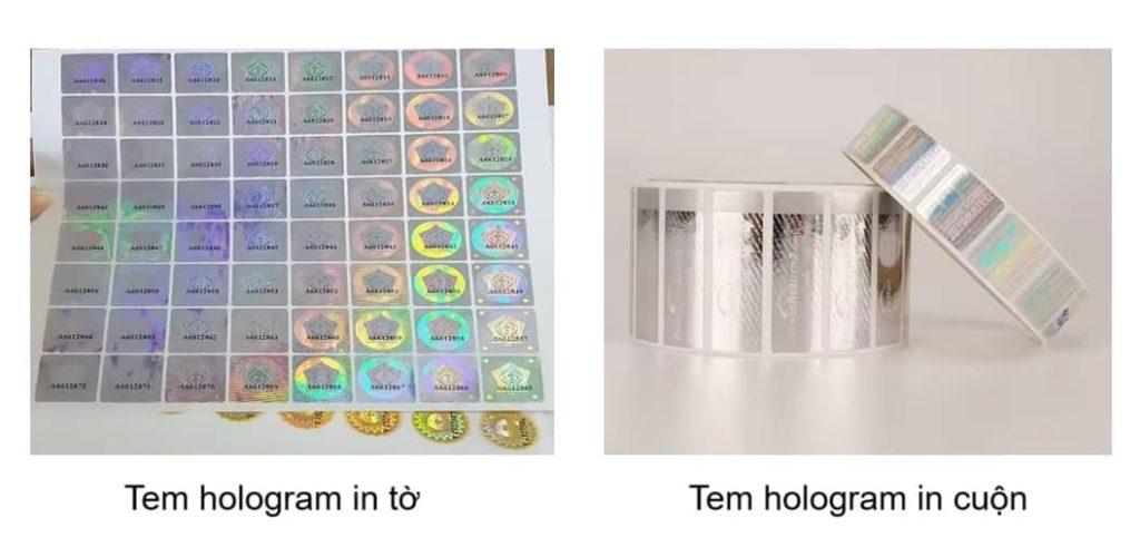 Tem hologram 