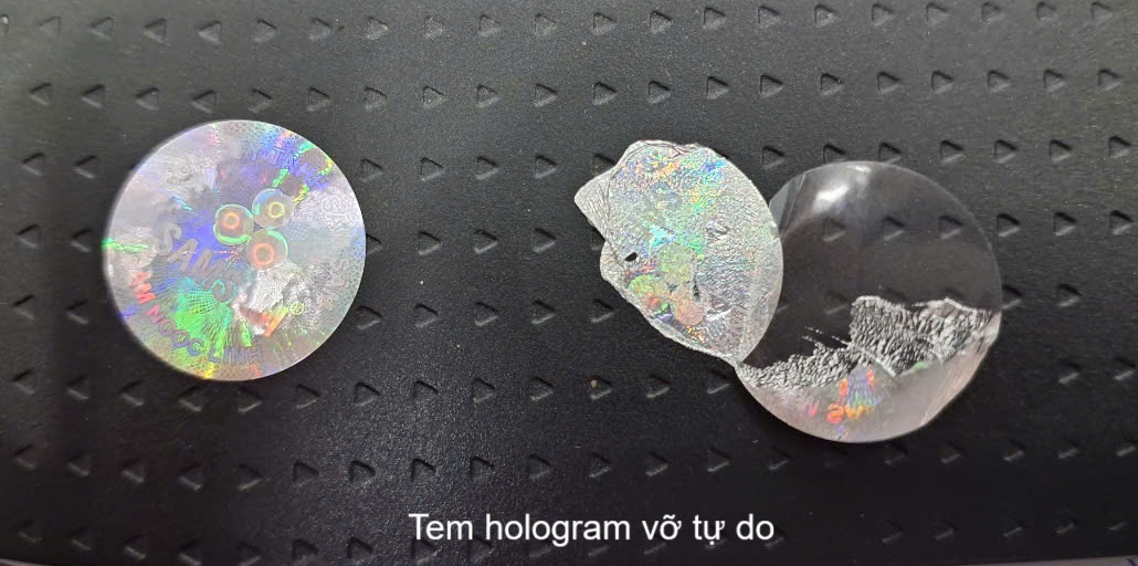 Tem hologram vỡ tự do